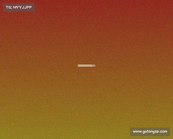 新西兰的赛事新西兰杯ds