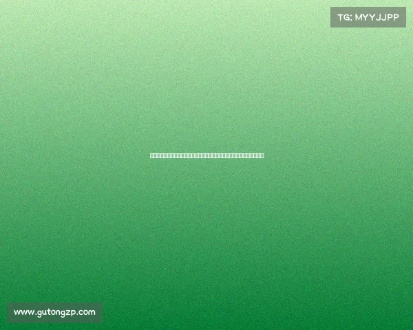 构建科学赛事报批制度体系强化监管效能推动体育事业高质量发展实践探索