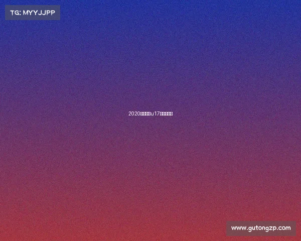 2020年河南省u17足球锦标赛